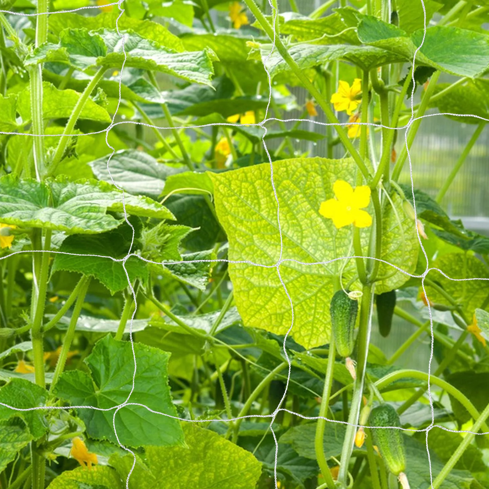

Garden Grow Netting 5x30ft Heavy-Duty Polyester Trellis Climbing Vegetable Support Net Cucumber Plant Trellis Netting