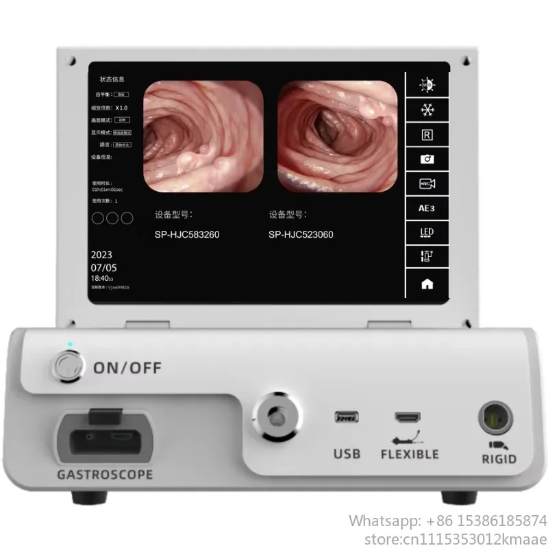 Veterinary HD Video Endoscopy Processor 12.1-inch All-in-One for Pet ENT Endoscope System