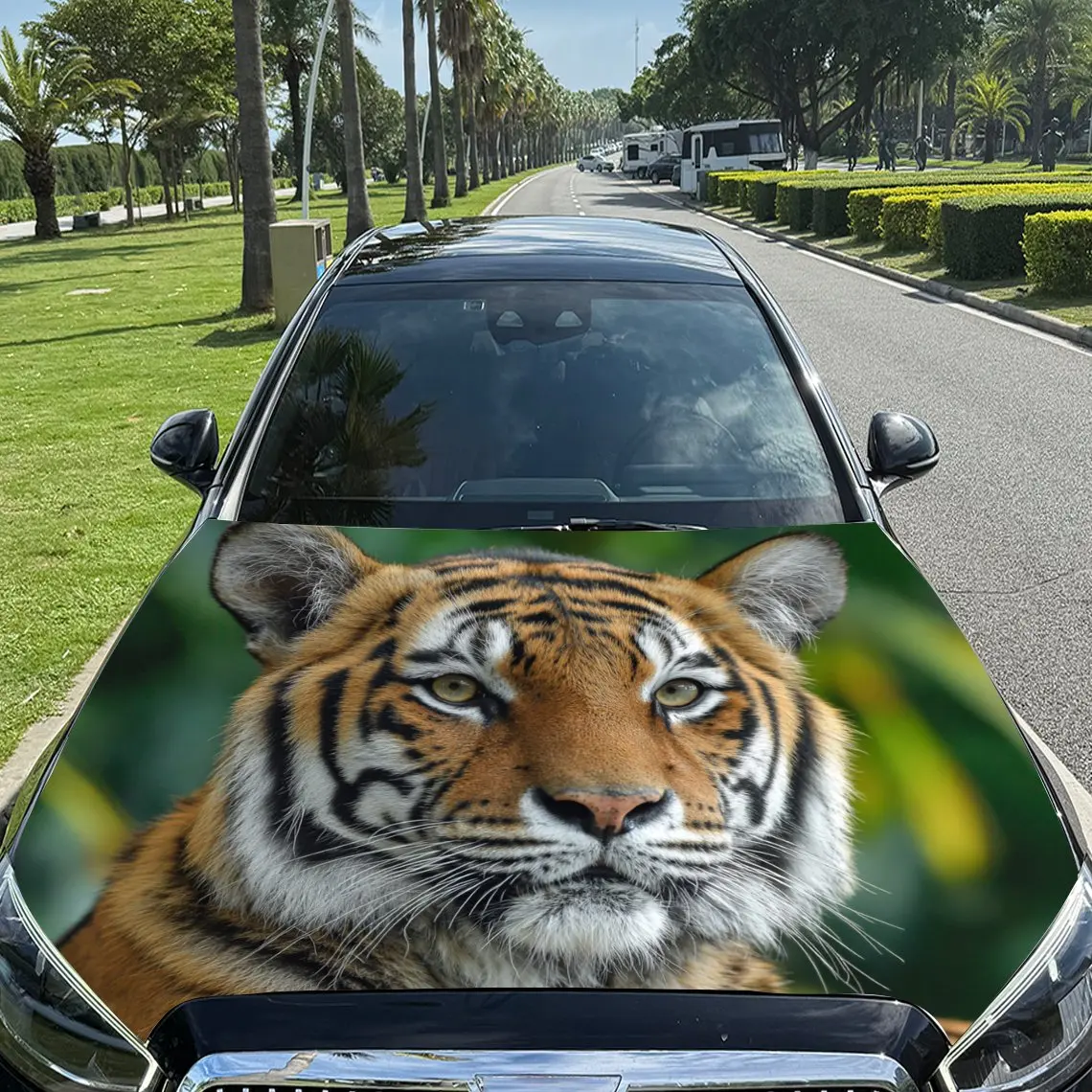 

Car Decals Realistic Tiger with a Focus on Its Expressive Face and Textured Fur Against a Naturalistic Backdrop Car Hood Sticker