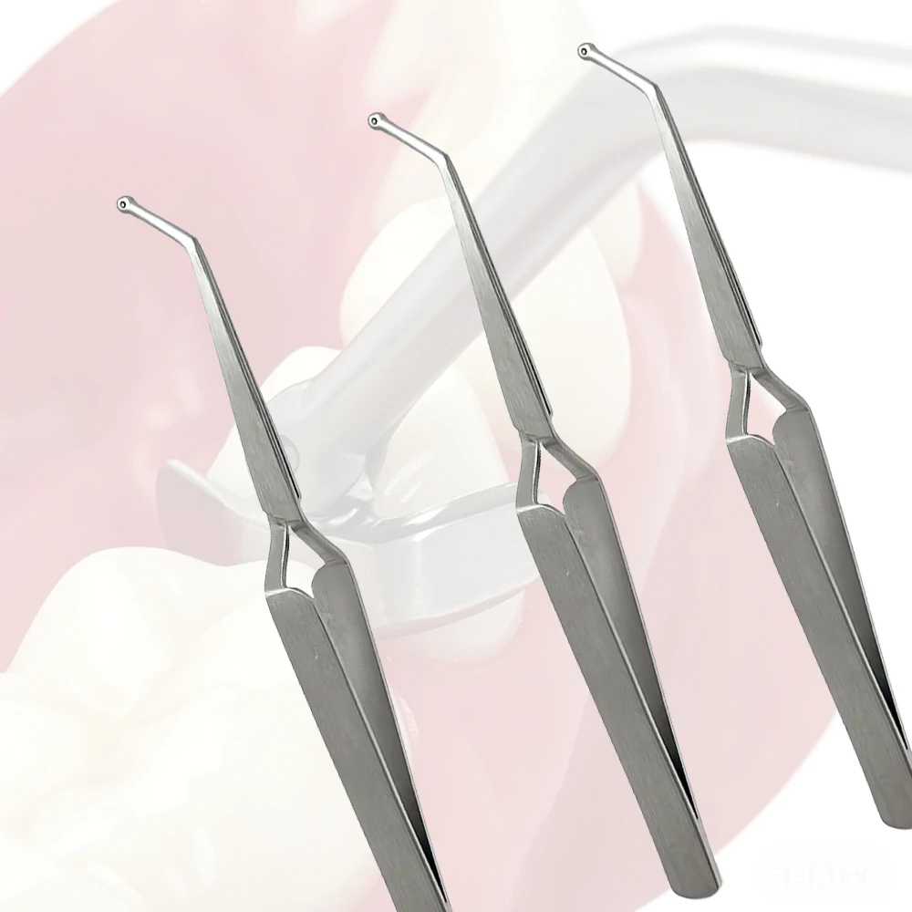 

Stainless Steel Dental Matrix Band Holder and Sectional Placement Forceps for Fillings