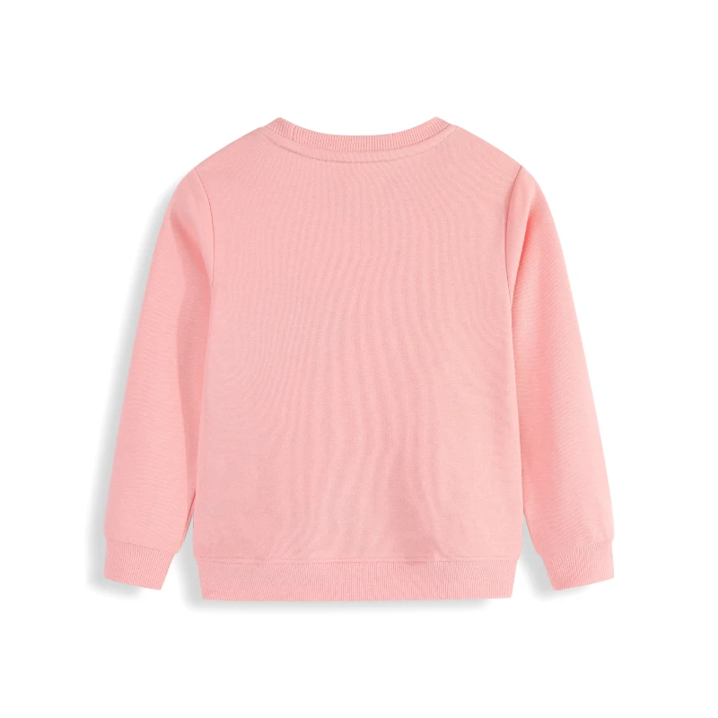 ملابس أطفال من Little maven ملابس أطفال لخريف 2026 ملابس علوية للفتيات الصغيرات أزياء الديناصورات الكرتونية بلوزات ربيعية قطنية #2