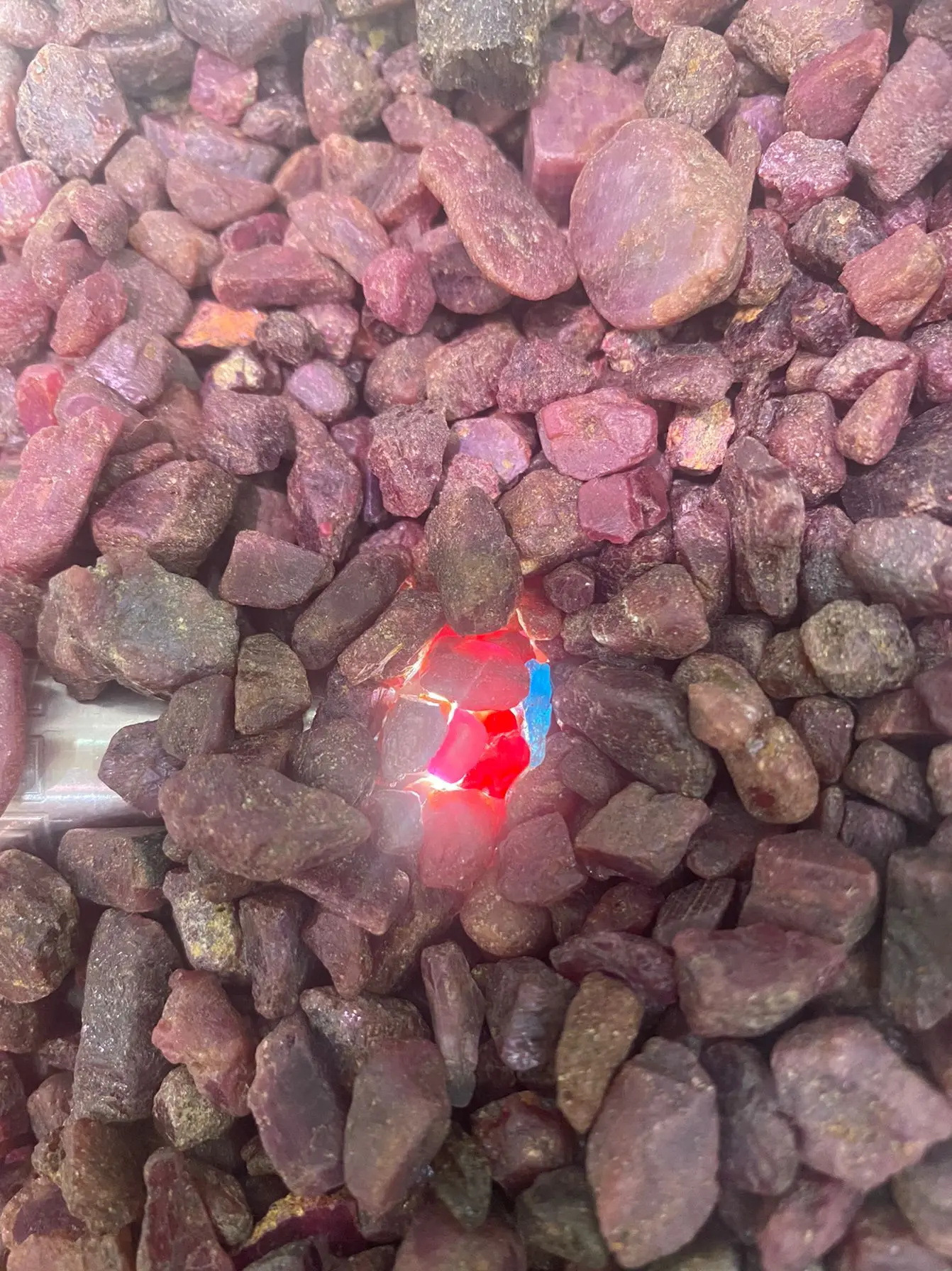 100 Cts Natural Madagascar Red Ruby Uncut Certified Gemstone Rough Lot