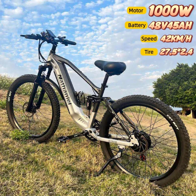 Electric Bike SYR03 1000W Motor 48V45Ah Removable Lithium Battery E-Bike 42km/h Commuting Leisure Riding Adult Electric Bicycle image 3