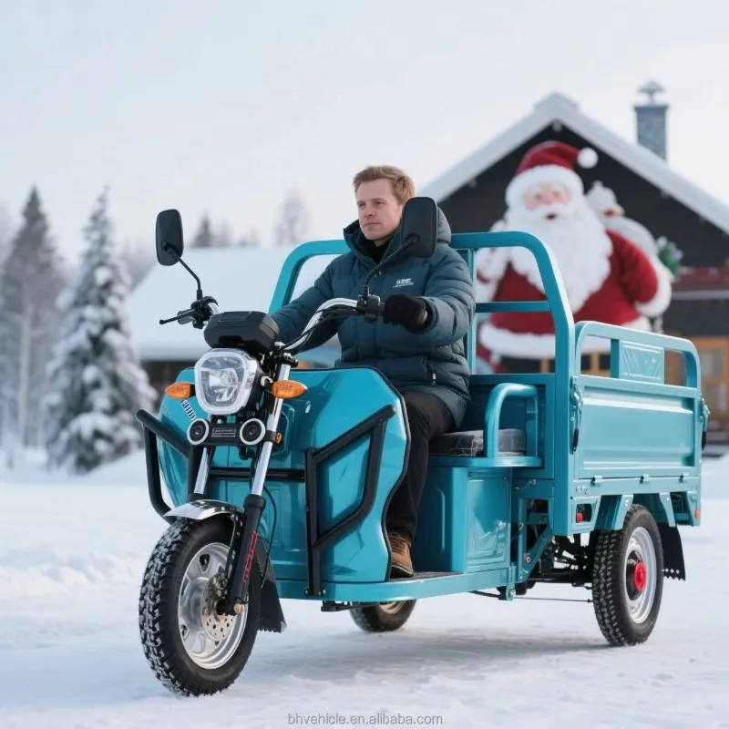 Factory Supply Heavy Duty Electric Tricycle Strong Load Capacity Cargo Transport Cargo tricycle 1000W Electric Motorcycle