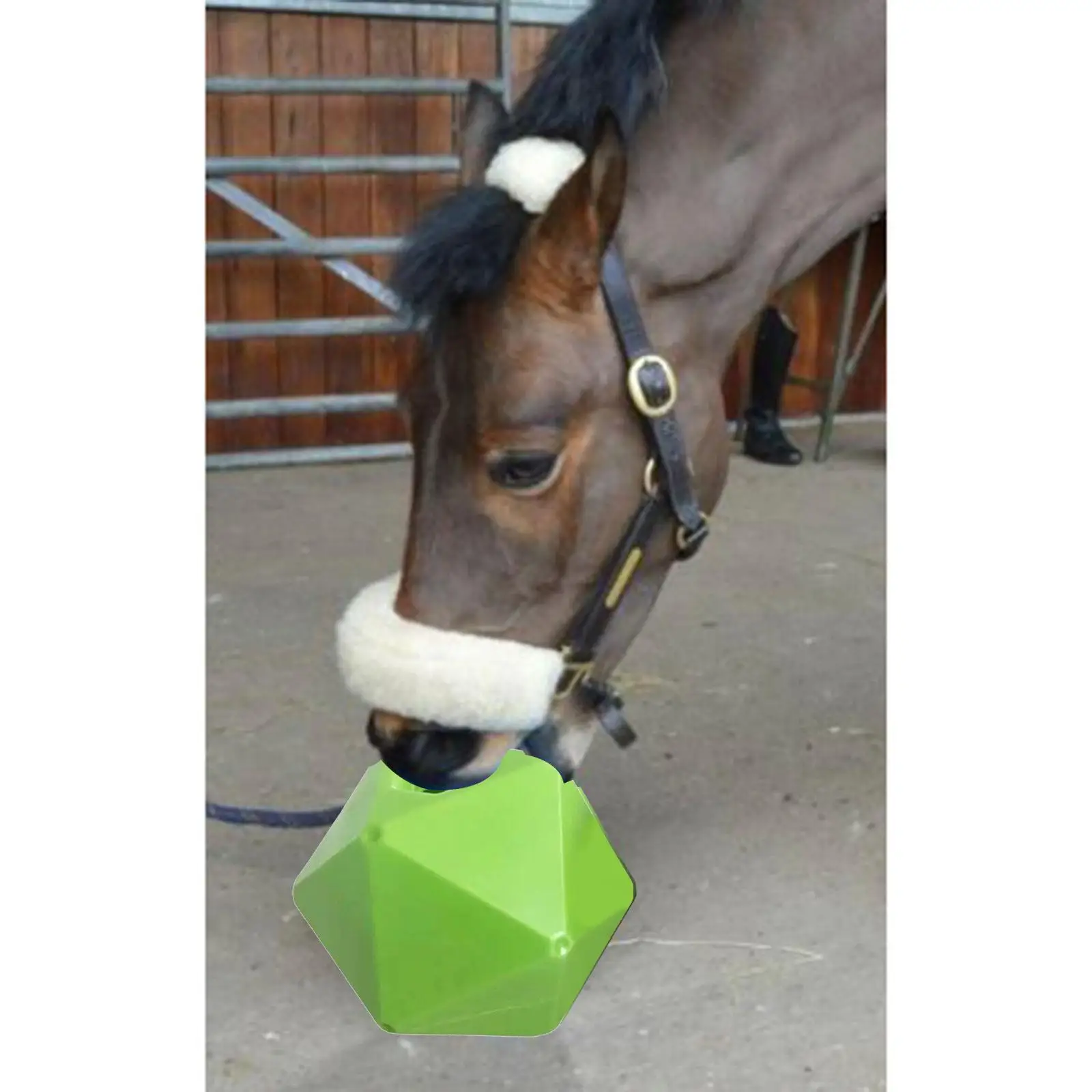 Juguete de alimentación de heno equino para caballo, Bola de trato para caballo, estable, Paddock, Verde