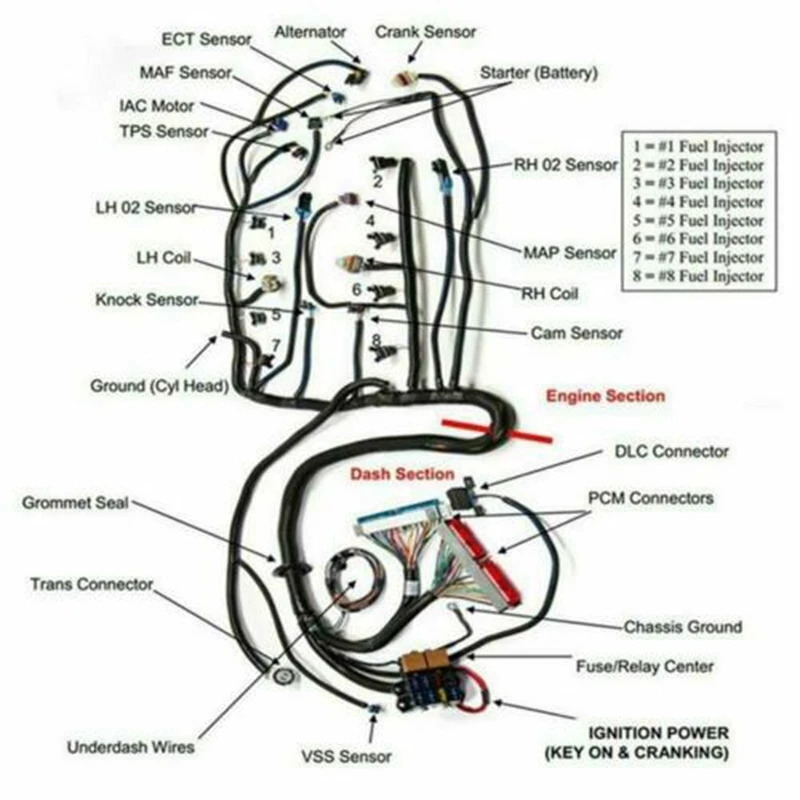 

LS Swaps Standalone Wiring Harness With 4L60E 97-06 4.8L 5.3L 6.0L GM LS1