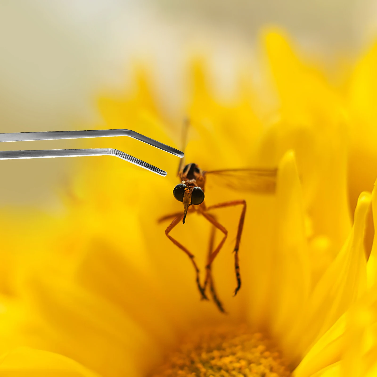 

3 Pcs Stainless Steel Tweezers Set Precision for Lab Industrial Gardening Bonsai Soil Loosening Moss Pruning Durable High Grade