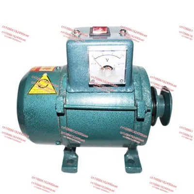 

220V 1000w High-Power Small Generator Home Lighting Permanent Magnet Brushless with Pressurizer Fine Copper Wire Core