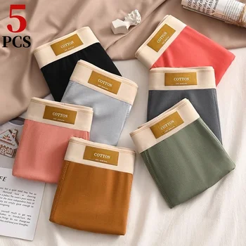 5 pièces/shorts pour hommes pur coton confortable sous-vêtements Sexy pour hommes antibactérien respirant sous-vêtements pour hommes grande taille sous-vêtements cadeau