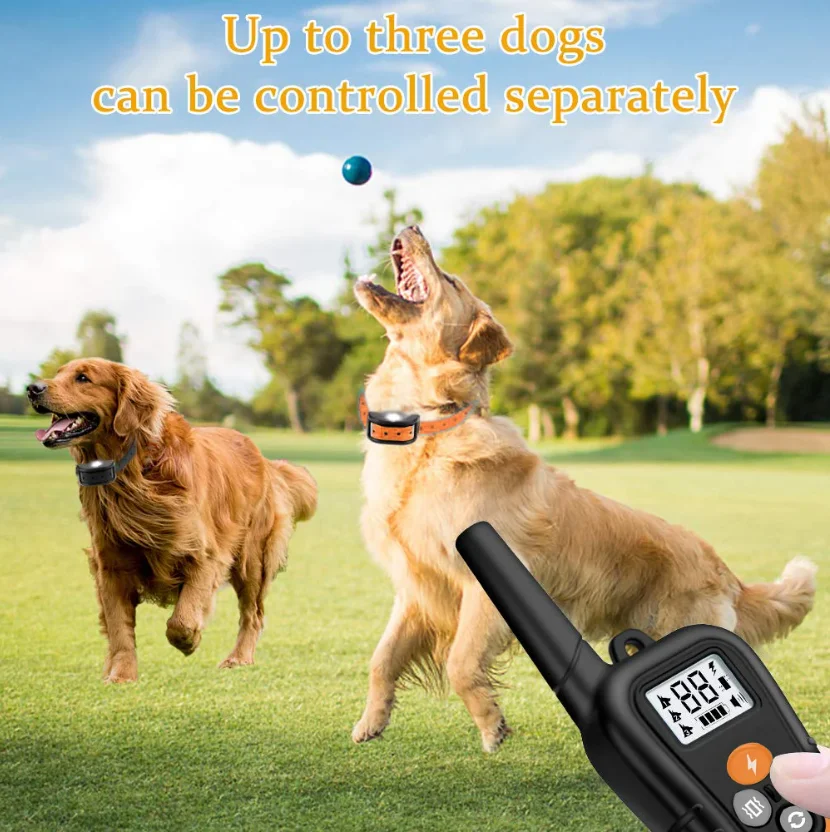 Dog Training Collar for 2 Dogs Waterproof Rechargeable Shock sound Vibration Anti-Bark 800m Remote Control for multiple Size dog