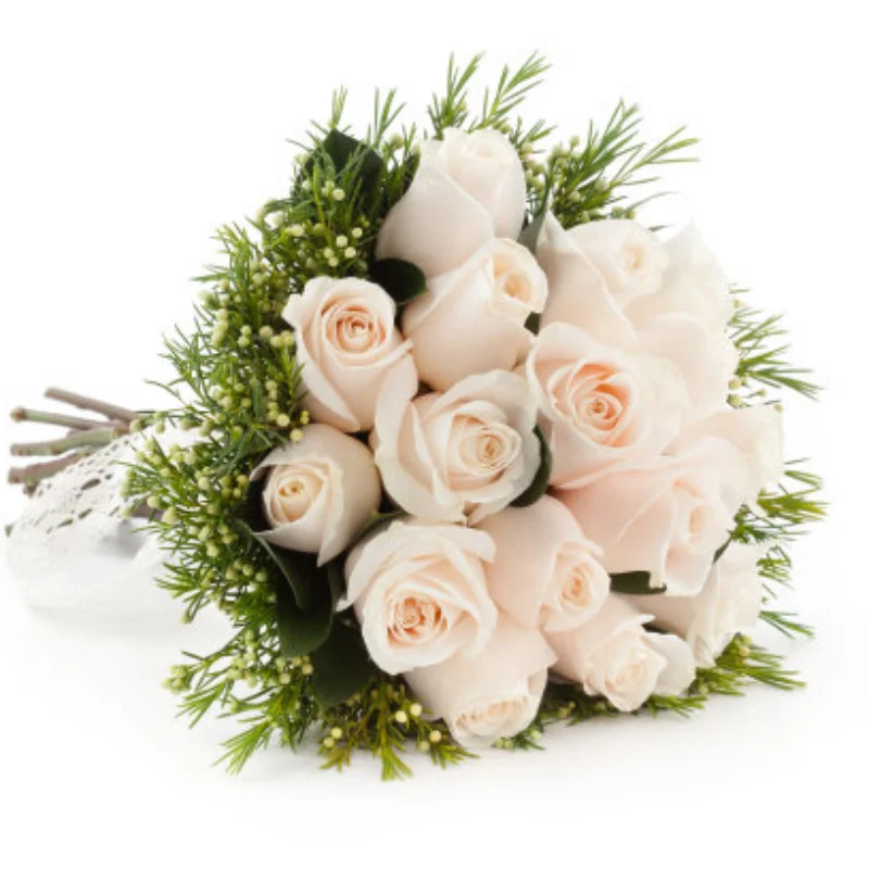 

Metal Transmitter Protector Frame and Phone Holder YA-0711BK For Flysky Noble NB4 / NB4 Pro / NB4+ Remote Control