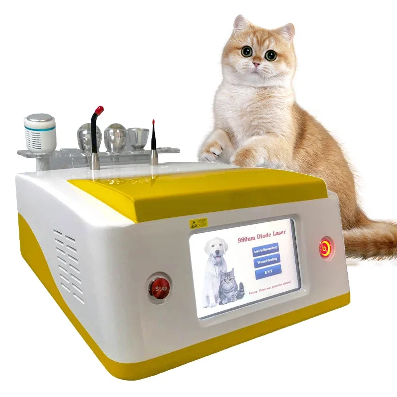 Veterinary Cat Dog Therapy Portable Physiotherapy Equine Therapy Pet Device for Vet