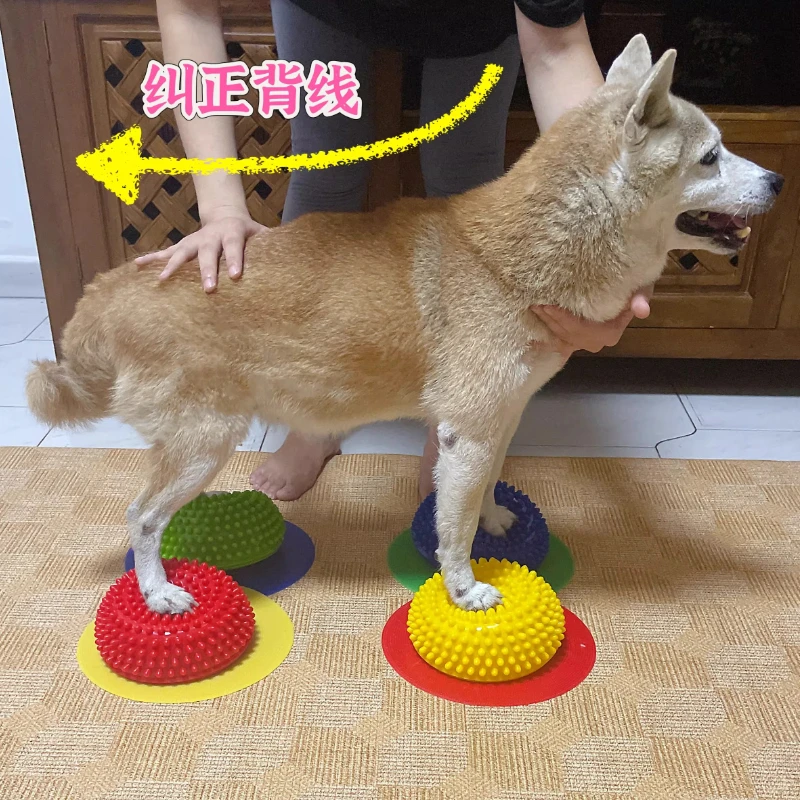 Inflatable Dog Balance Training Ball - Semi-Circular PVC Anti-Burst Fitness Pad, Pet Balance & Muscle Trainer