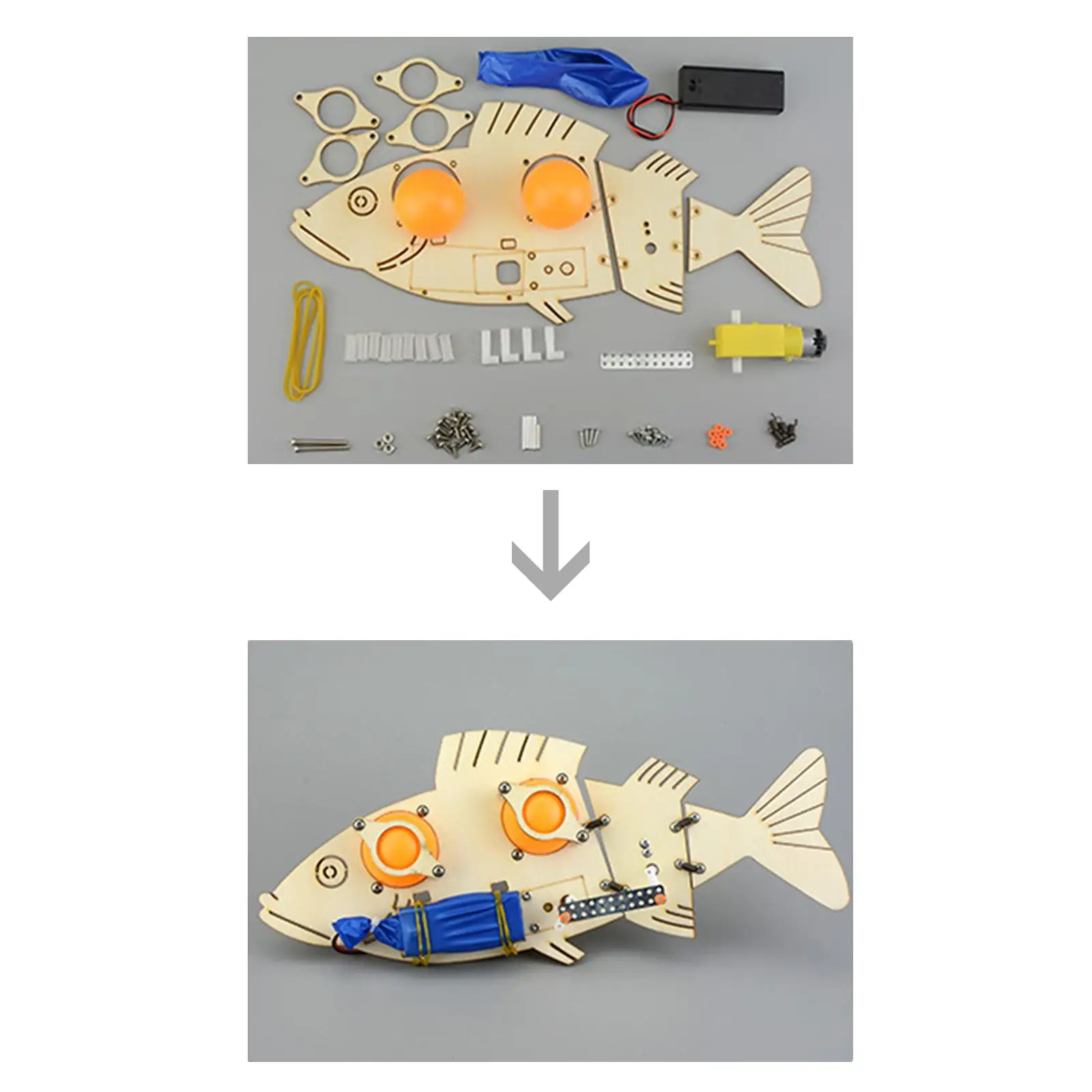 

Electric Fish 3D Wooden Puzzle Hand Assemblable Wood Education Toys Experiment Model for Ages 7-12 Years Old Girls Boys Kids