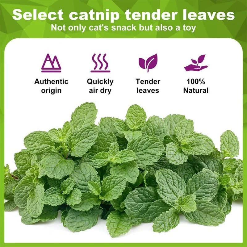 5/10/20 قطعة كرات النعناع البر - مراجعة Catnip Toys وسعره