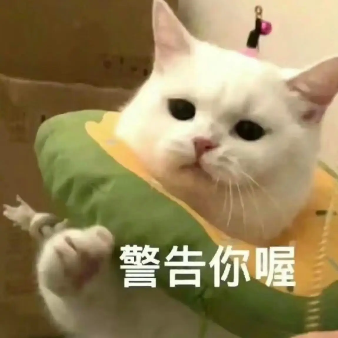 

Для BMW X4 X4M F98 G02 2019-2024 Защитная крышка для фар автомобиля, пленка для переднего освещения, ТПУ, тонировочная наклейка для фар, аксессуары