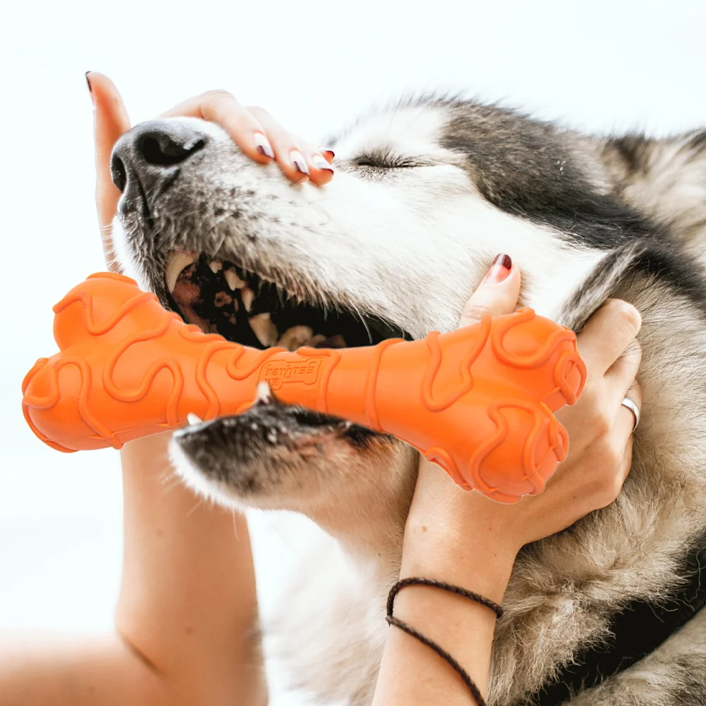 Dog Chew Toy Bone Shaped Chewing Small Toys Puppy Accessory Bones Portable Molar Interesting Cartoon Cheese Gnawing