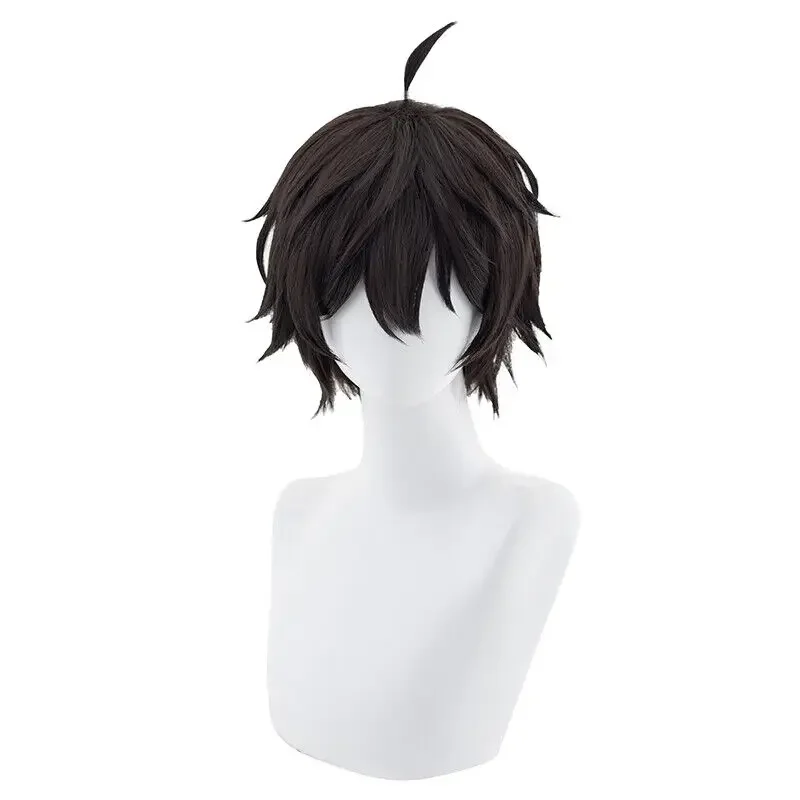 Honkai-Perruque Cosplay Noire Courte pour Homme, Perruques Synthétiques, Star Rail, Dan Heng, 30cm