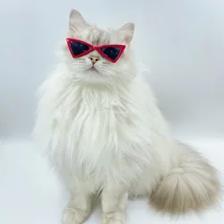 사랑스러운 빈티지 삼각형 고양이 선글라스, 작은 개 고양이 반려동물용 반사 안경, 사진 소품 액세서리