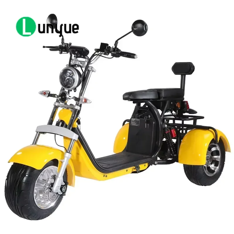 EEC Certified Electric Cargo Tricycle CP3.0 45km/h Pedal Assist 200kg Load Capacity Urban Adult Freight Trike for Delivery