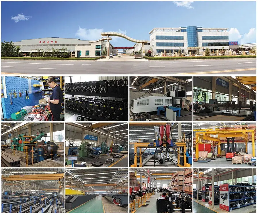 2 طن 30 60 100 طن رافعة متعددة الرافعة هوك مزلاج السلامة / خطاف رامشورن المصنعين