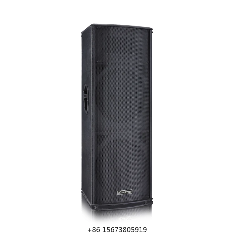 

Dual 15-Inch Full Frequency Pro Audio Speakers