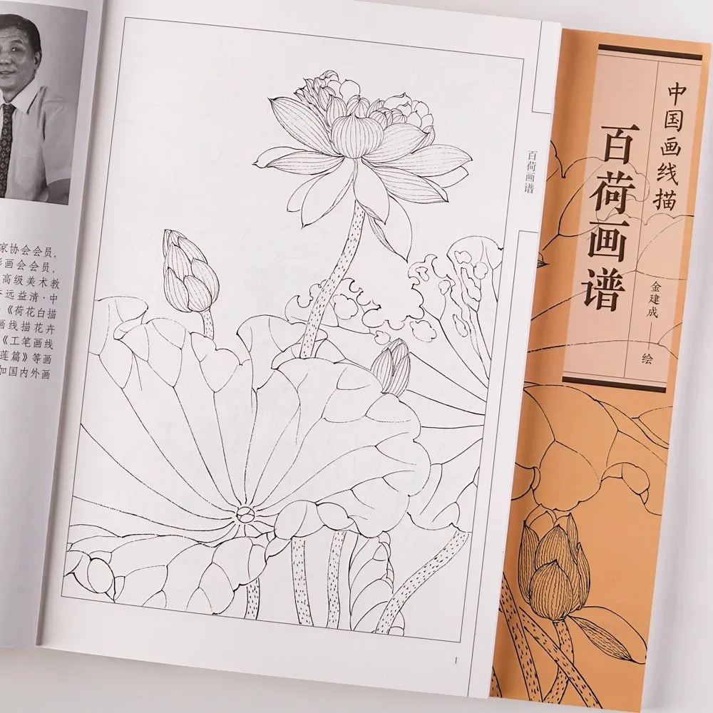 Livro para colorir fácil Baihe - Desenhos relaxantes de desenho de linha chinesa Pintura manual simples para todas as idades