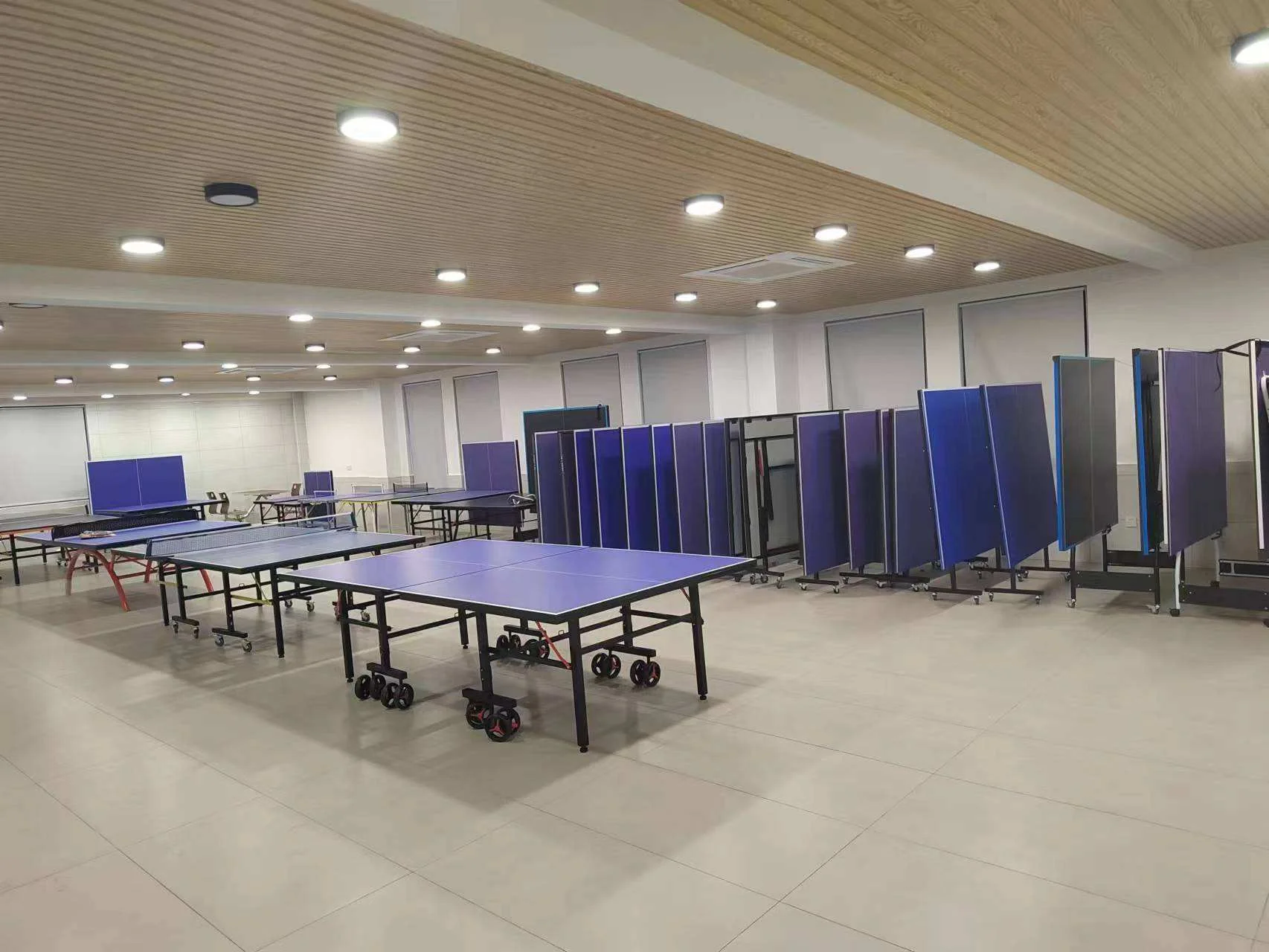 

Custom Foldable Indoor Table Tennis Set Modern Ping-Pong Board with Folding Legs for Outdoor Entertainment