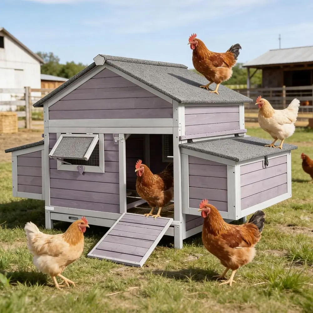 

Spacious Wooden Chicken Coop for 3-5 Hens with 2 Nesting Boxes and Pull-Out Tray