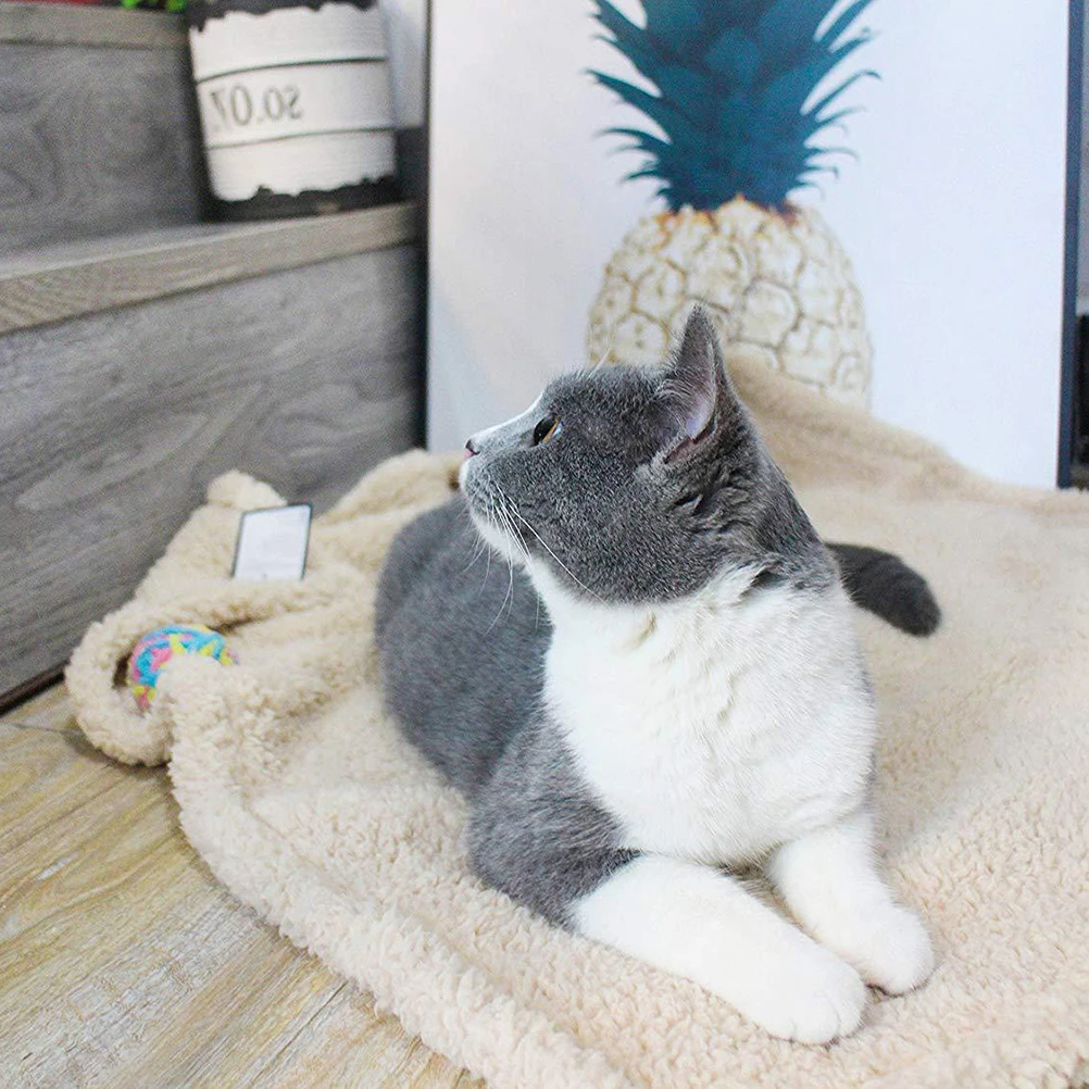 

Cat Blanket Pet Dog Super Carpet Warm Sleep Mat Lightweight Portable Winter Bed Home Floor Use Pet Cushion