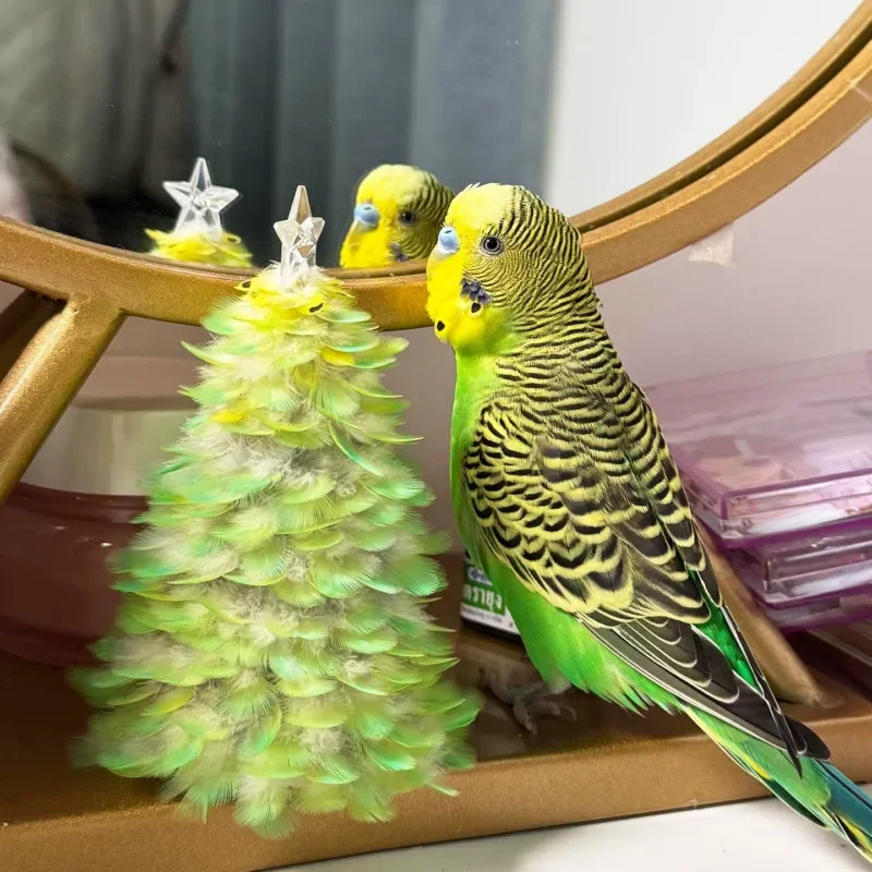 Parrot Feather Lamp Handmade DIY Night Light Christmas Tree Ornament Xuanfeng Small Sun Decoration Collection Commemorative