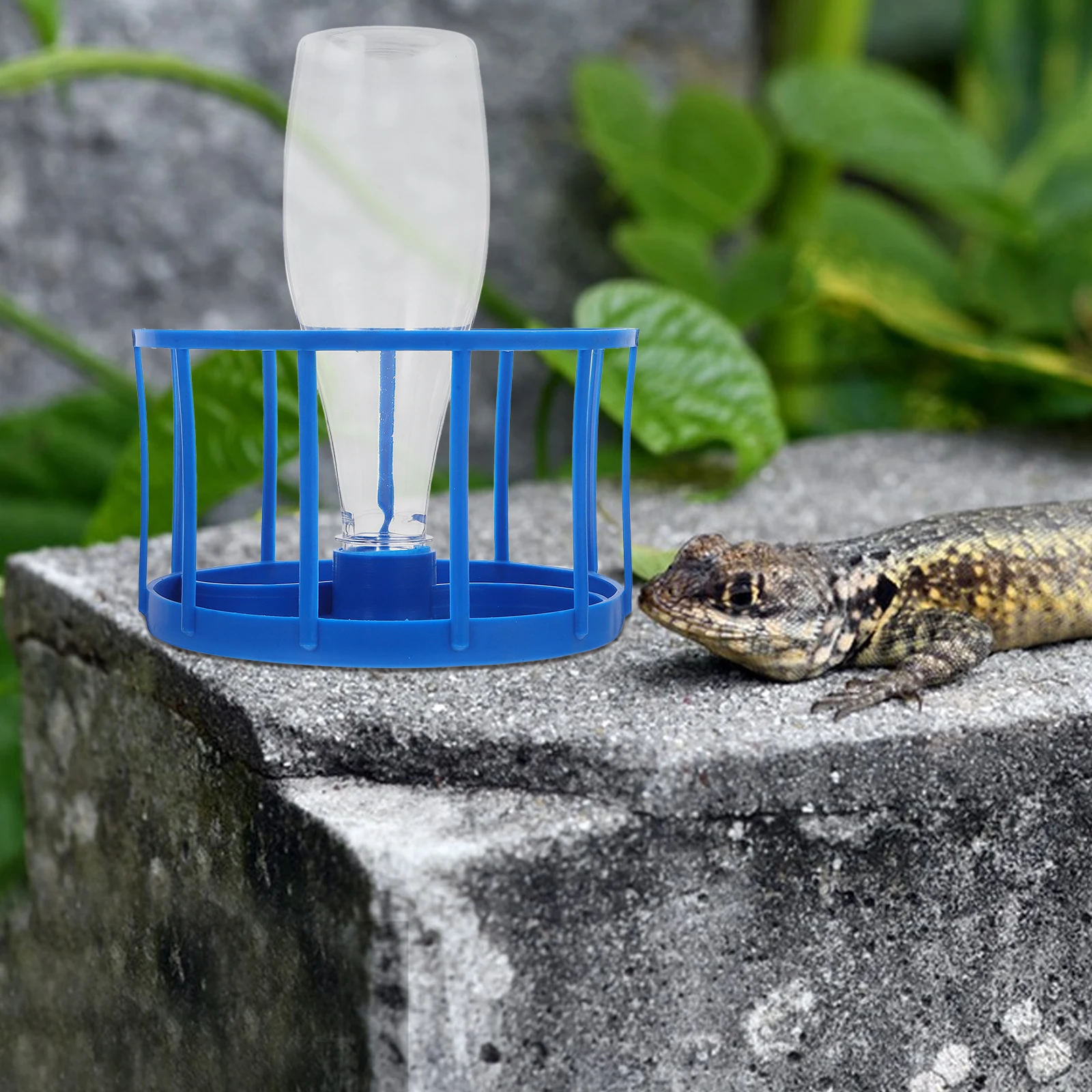 

Automatic Water Feeder Large Capacity Reptile Dish Food Bowl Leopard Gecko Bowls Turtle Lizard Easy Clean Fresh Water Long