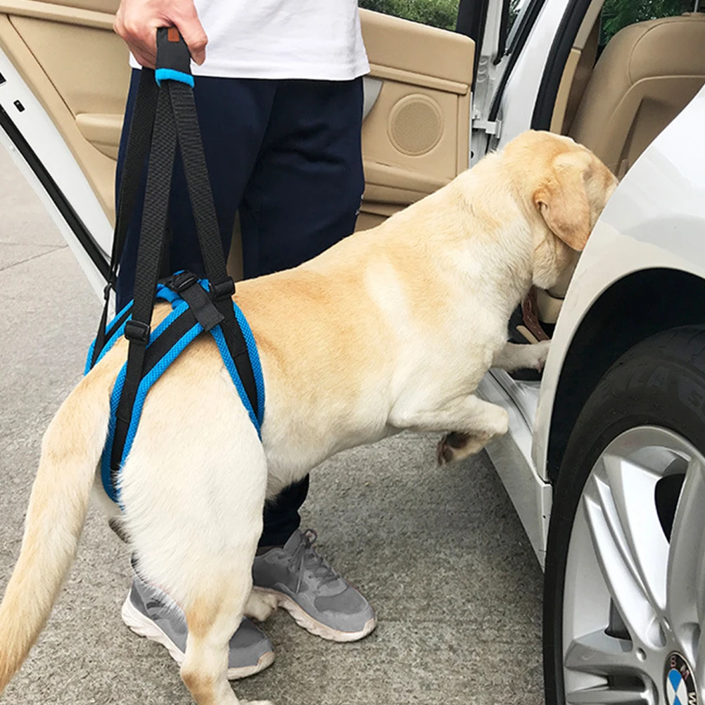 

Dog Hind Leg Support Harness Staircase Auxiliary Belt Pet Supplies Large Vest Air Mesh Elderly Weakness Walking Climbing