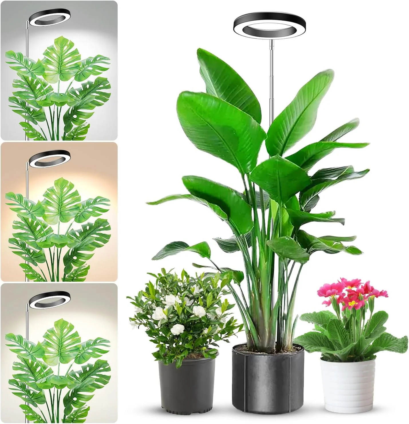 Einstellbare LED-Pflanzenlampe – Plant Growth Regulator Bewertung und Preis