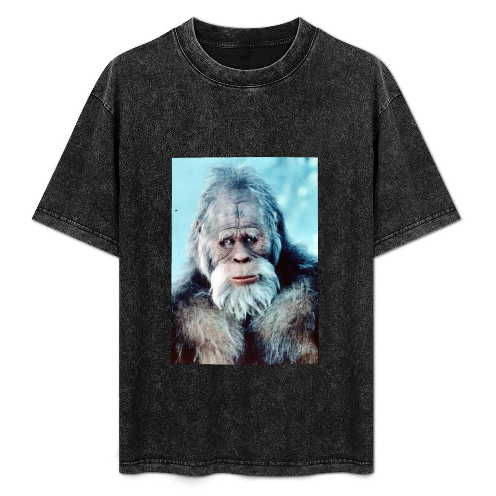 

Harry in the Snow T-Shirt Aesthetic clothing anime t shirts boys animal print plus sizes mens clothing