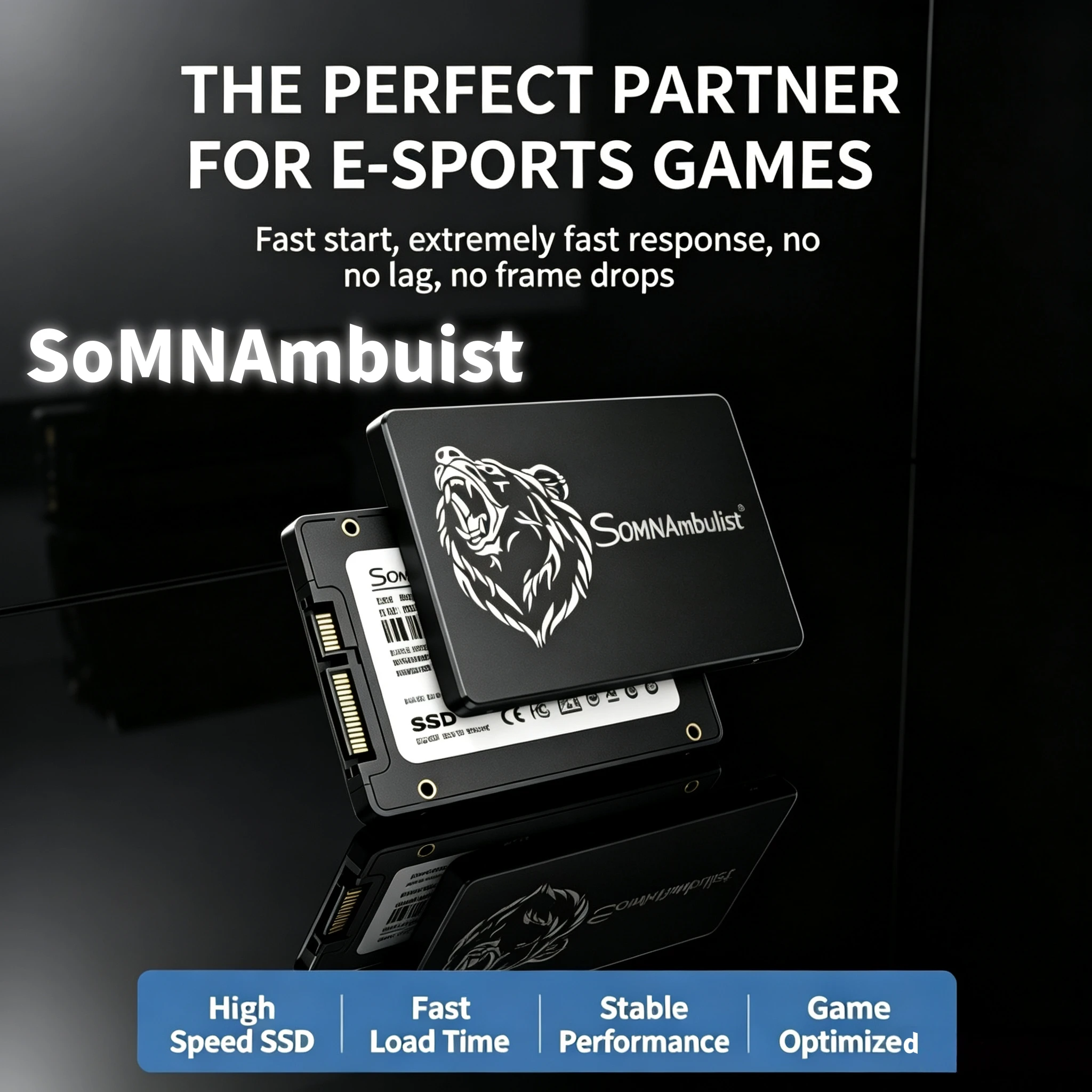 SomnAmbulist 240GB 480GB 960GB 1TB SATA3 2.5 Inch Internal SSD Hard Drive for PC Desktop Laptop Fast Boot Reliable Performance