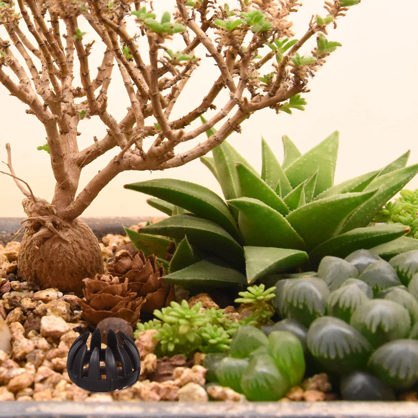 

20pcs Bonsai Fertilization Box Plastic Basket for Plants Mesh Abs Container Baskets Storage Succulent Nutrition Cups