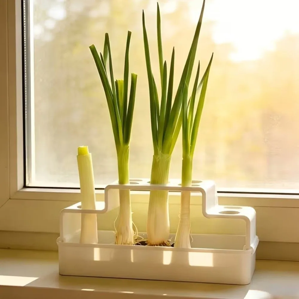 Plastic Hydroponic Vegetable Box Ventilated Repeated Growth Cultivation Pot Hydroponic Planter Soil-Free Water Cultivation Box