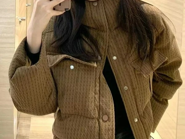 Fashion Short Style Solid Color 2025 Winter New Breadms Women's Jackets Stand Up Collar Simple Down Cotton Jacket Trendy
