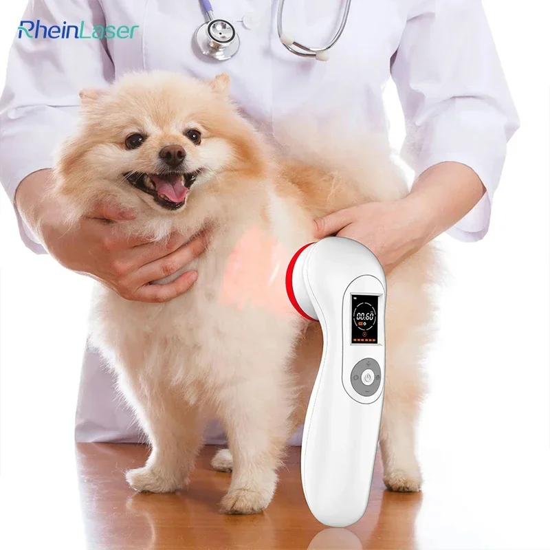 2025New Invention Physical Therapy Rehabilitation Devices For Dog/Horse/Human Physiotherapy
