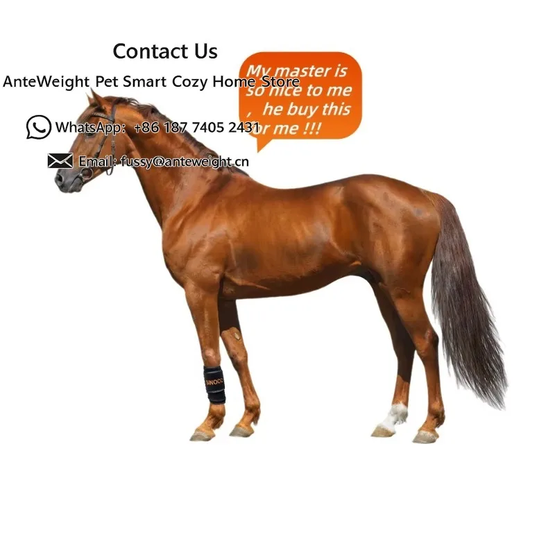 

Veterinary Instrument for Equine Therapy Targeting Shank & Cannon Bone Areas with Red Light Therapy for Horses