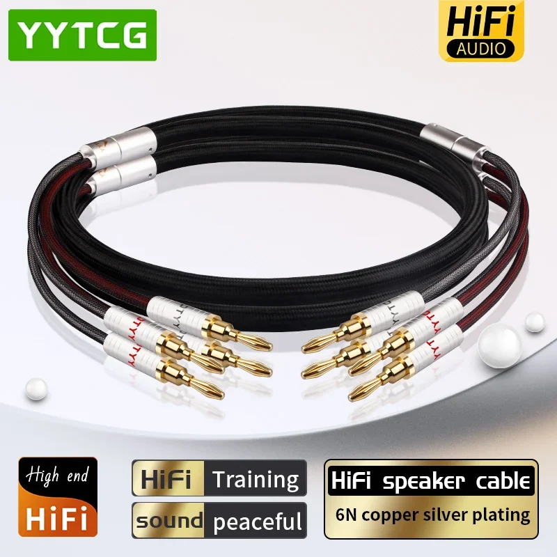 HiFi Speaker Cable Silver Plating Banana Plug 6N Copper Speaker Cable Power Amplifier Gallbladder Machines Connection Cable