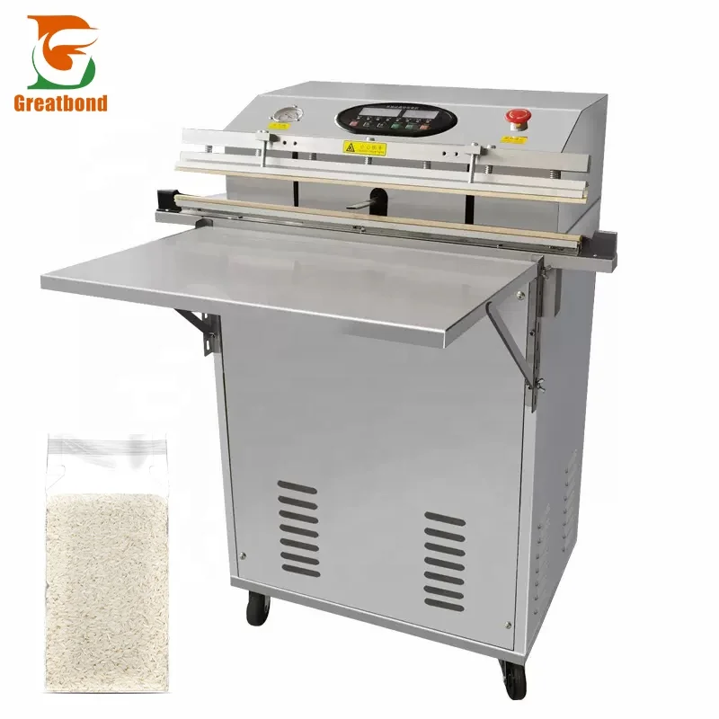 Qwinn （2026）hotHigh Efficient 500 Type Double Pump Semi-Automatic External Vacuum Packing Machines Commercial Fruit Vegetable