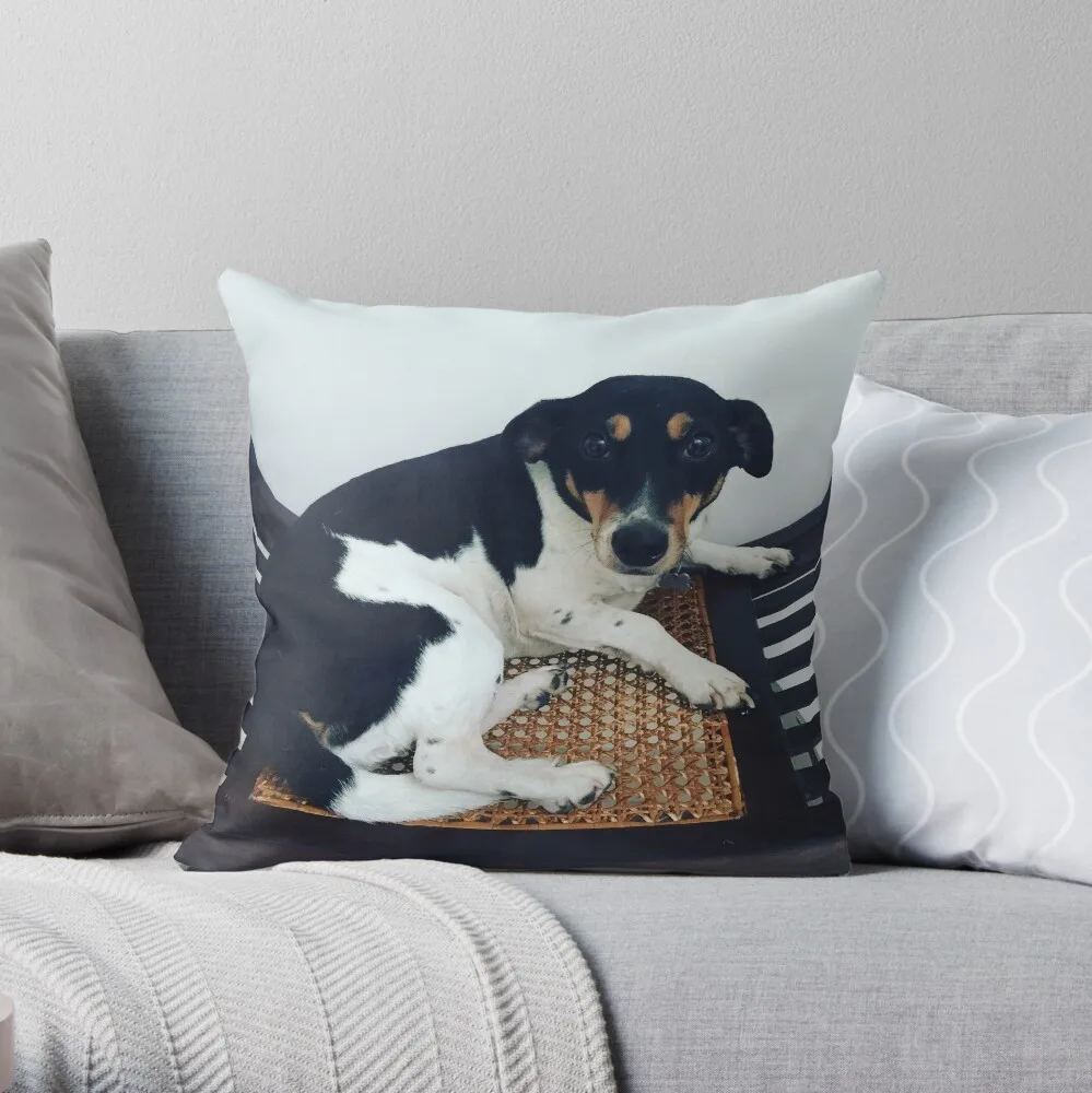 

Jack russel cute dog Throw Pillow Sofa Covers For Living Room Cushion Cover Luxury Christmas Pillow Covers Sofa Cover