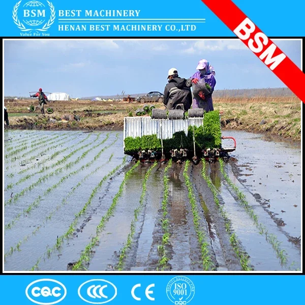 Vietnam hot sale 6 rows paddy rice transplanter/paddy planting machine