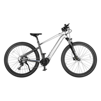 Accolmile Electric Bicycle  29\