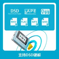Fiio Snowsky Echo Mini Wireless Mp3 Mini Bluetooth Walkman 8GB Custom Support Dsd Retro Portable Bluetooth Player Music Gift Man