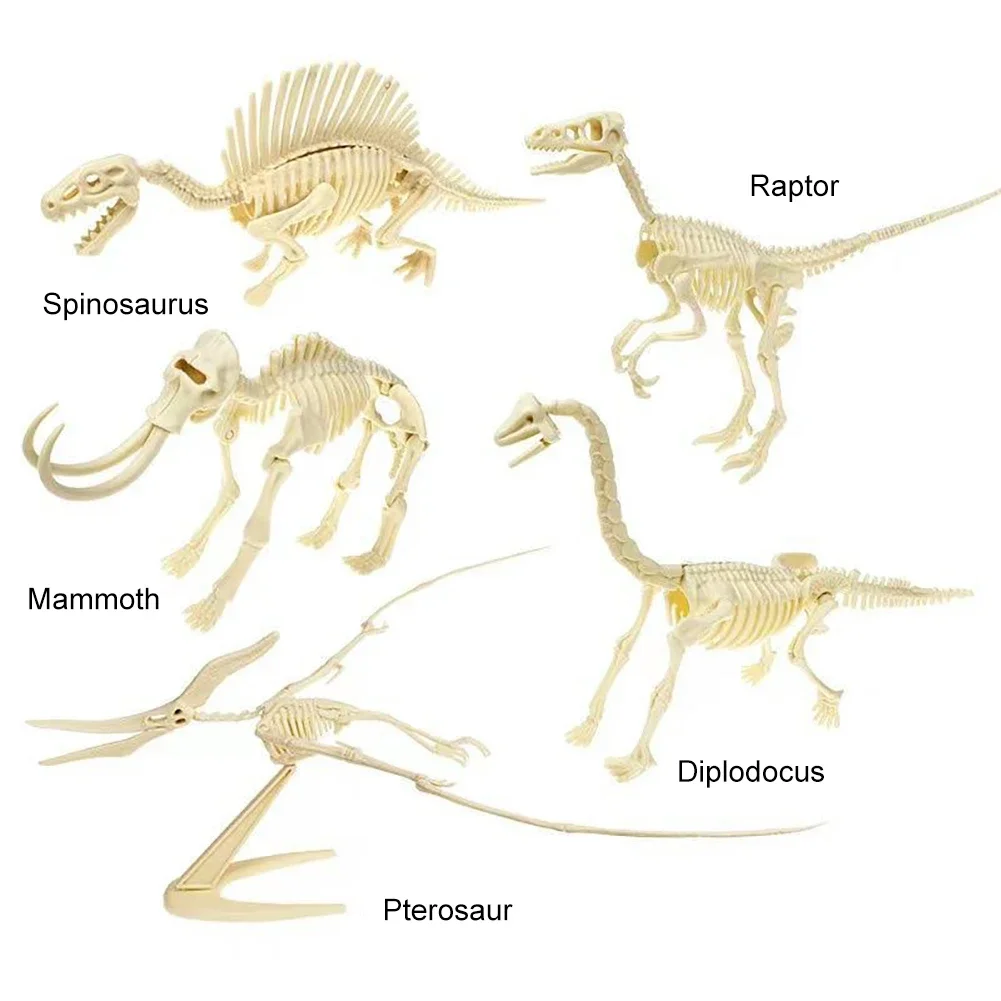 Simulation Dinosaurier Fossil Kunststoff Skelett Modell Kinder DIY handgemachte Dinosaurier Skelett Montage Kit Tyrannosaurus Rex Modell – Detail 7