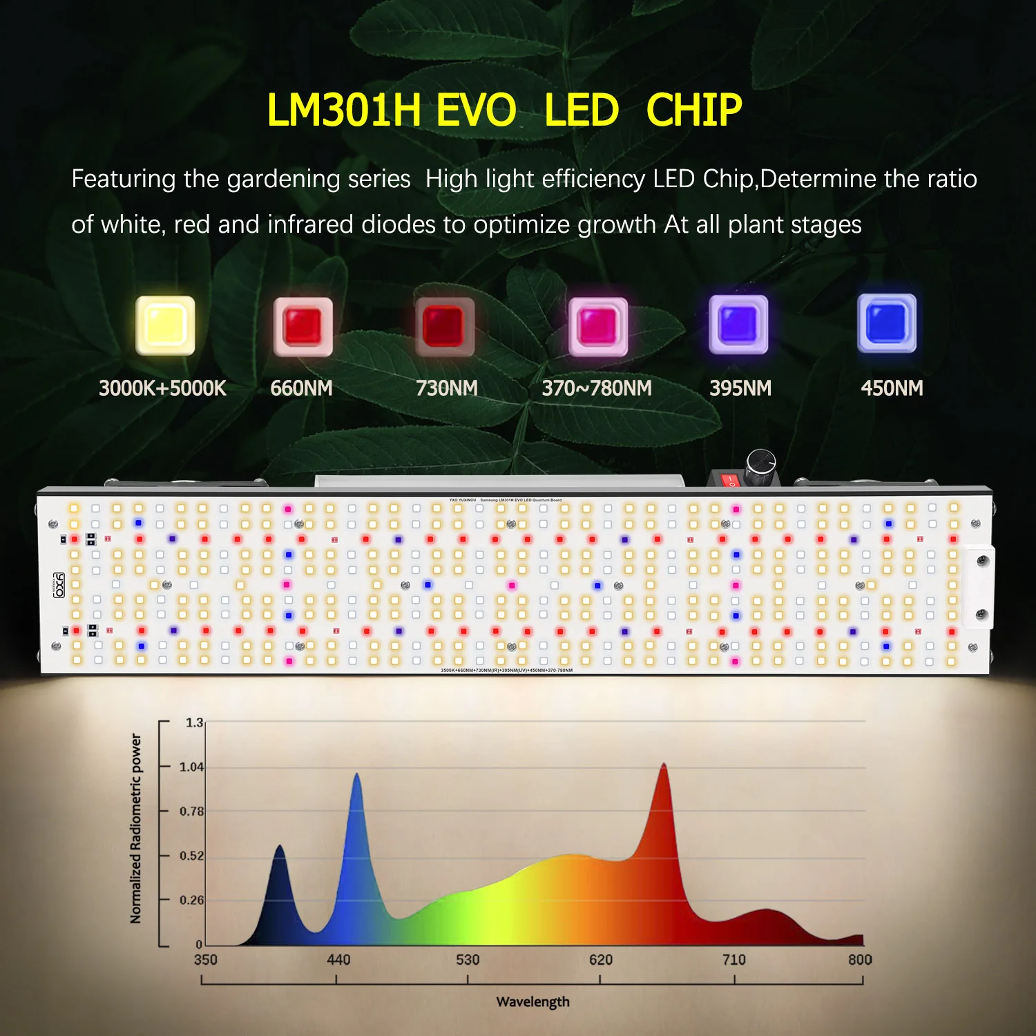 LED-Wachstumslampe Vollspektrum 180W 240W Indoor-Gewächshaus Pflanzenwachstumslampe mit Vegetations- und Blütenmodi für Growzelt