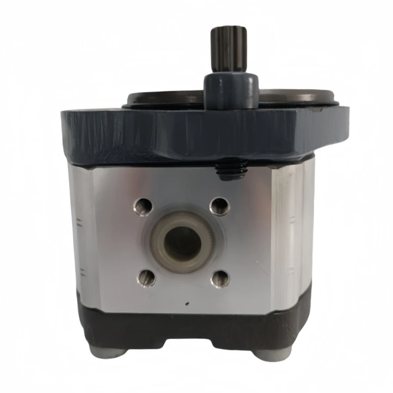 Hydraulic Gear Pump AZPF-11-008RRR20KB-S0081 for Molding Die-Casting Screw-Type Machines 210-250 Bar